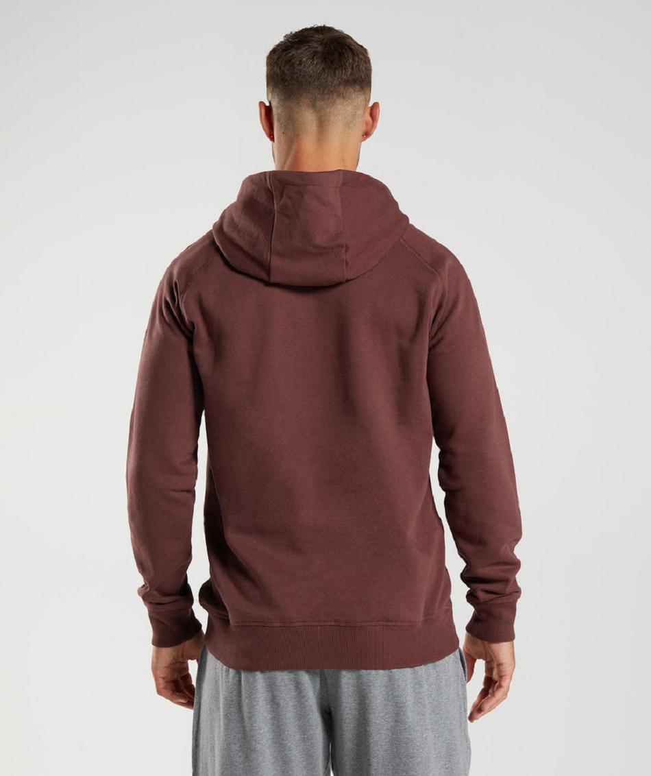 Bluzy Z Kapturem Męskie Gymshark Crest Różowe Brązowe | PL 3572VRW